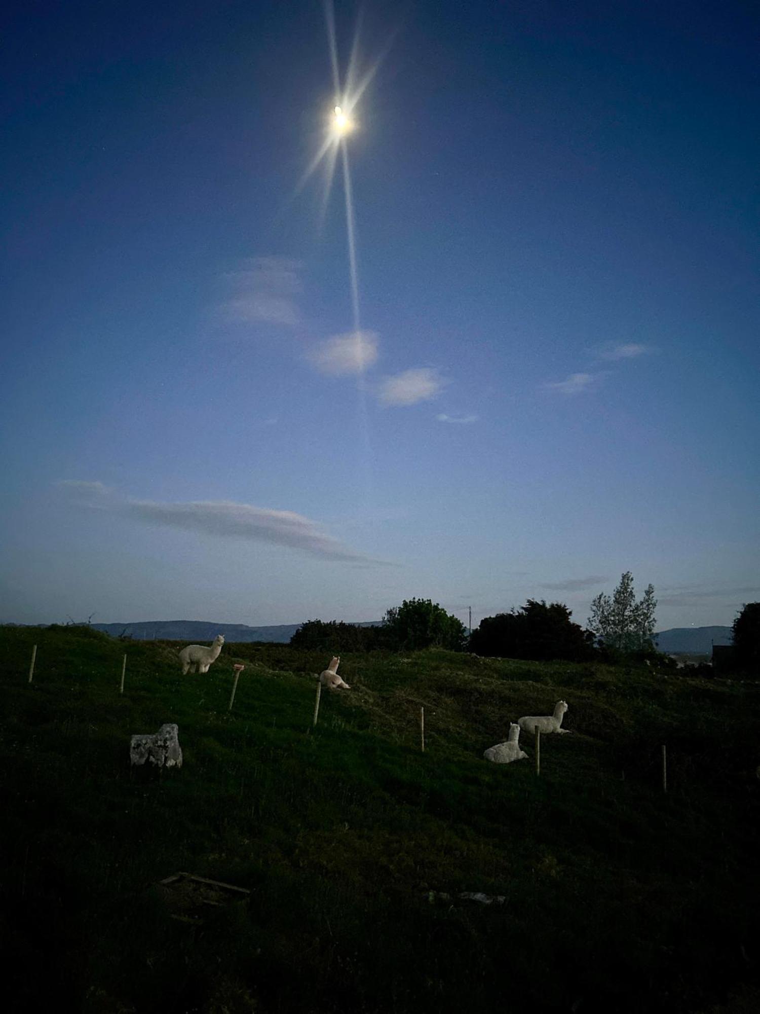 The Creevy Cabin Ballure Dış mekan fotoğraf